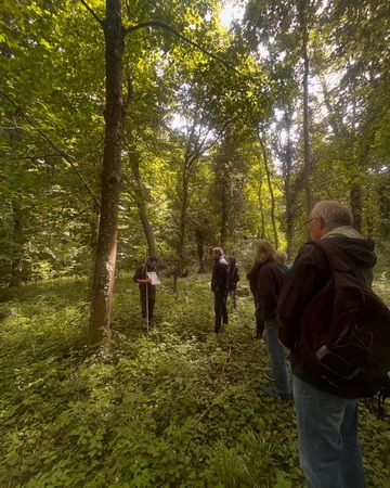 Waldbegehung 1