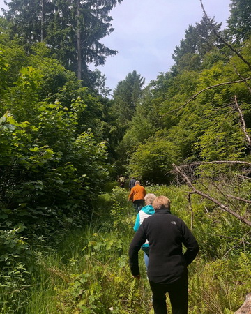 Waldbegehung 2